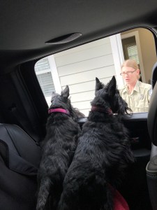 0c1aa955-ebfe-429f-a0e3-588a92c343a0