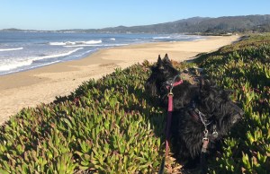 9D76AF5C-97EA-44A4-B68A-E6F0F06BD3B2