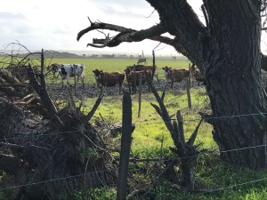 C717B2C8-A2EB-4237-8197-E616CFB8C115