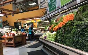 C6E05C13-250F-4C9B-9DEB-C02067337CF2