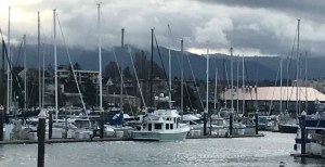 E24A7A19-D2AF-4CD2-A074-59CEA0F5ECD8