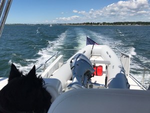 337d8936-6fb2-4c4b-a478-57c8c8d13b3e