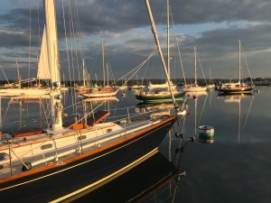 6B8D3CC2-E53A-4CEB-A922-C634C8449F73