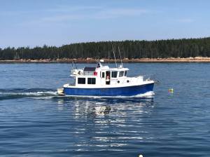 20690364_10210264164103070_4564959616503672107_o