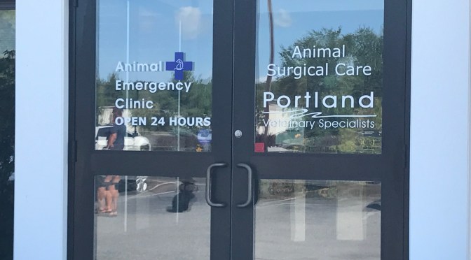 Maine Cruise – Day 25 – Portland & Portland Veterinary Specialists Emergency Clinic