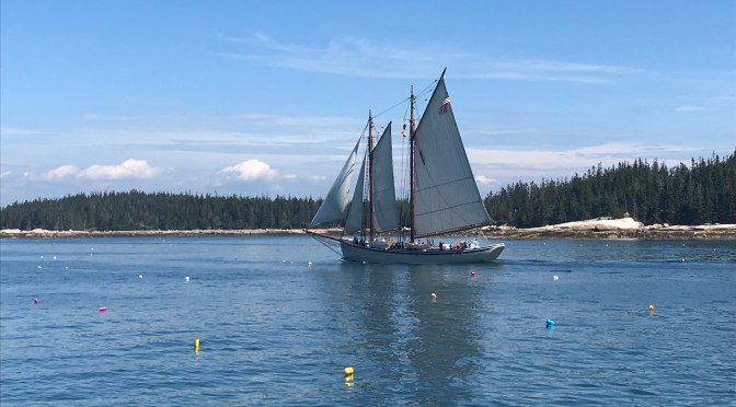Maine Cruise 2018 – Northeast Harbor