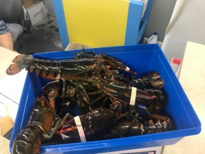 neoACVrmS76EyiGYlD7oGw