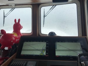 N7AhrzQ5Tu6M%KYSM8DS1A