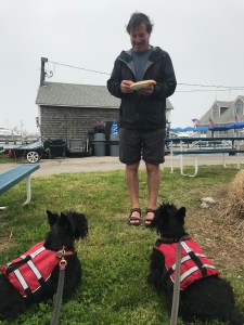 XAH8pPnKQaCIuTOEGIvvYQ