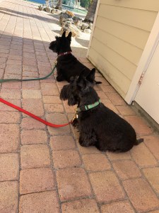 7FHFsV%2Q4CStKZazF487Q