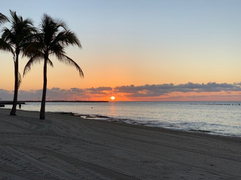 KAL+4GdgRGuM9piGIXBghA