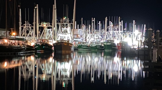 Another Gale to wait out,  Cape May Style.
